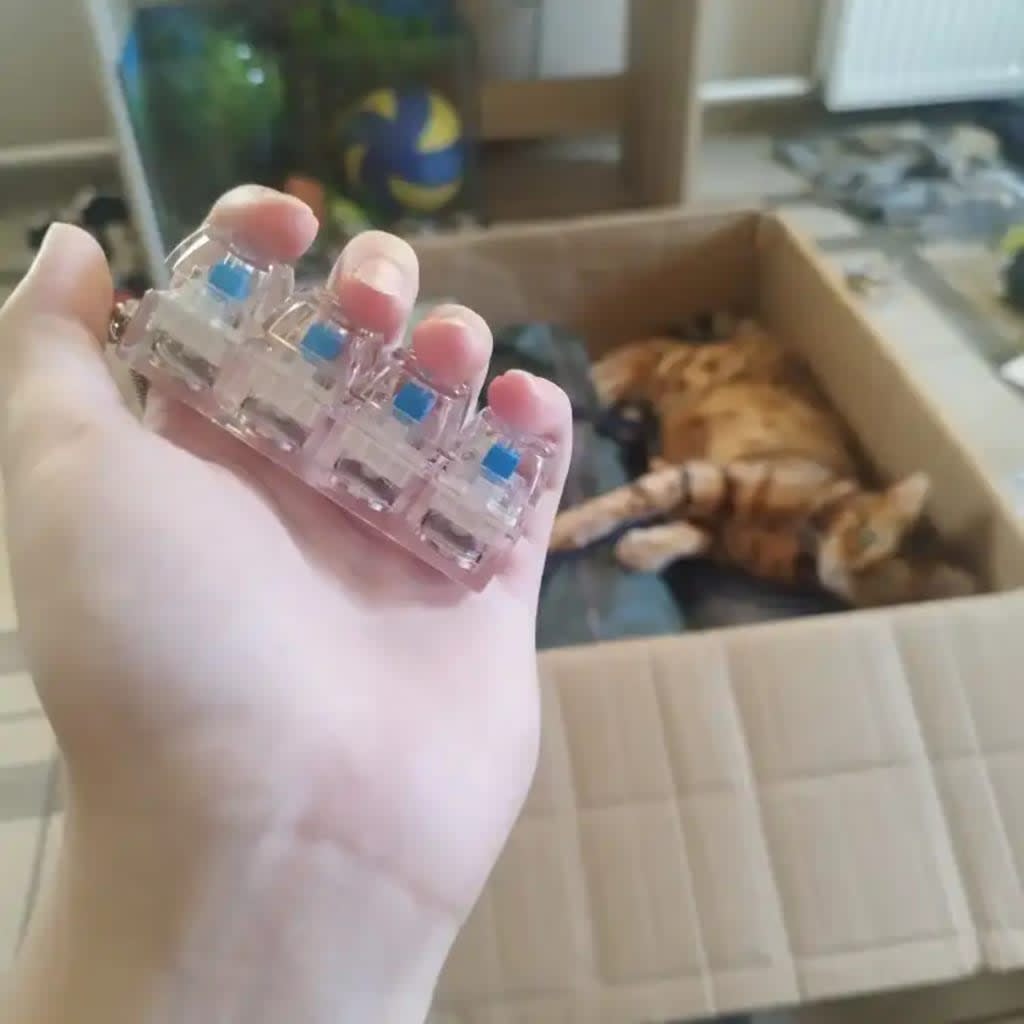 Switchy™ Mechanical Keyboard fidget Keychain