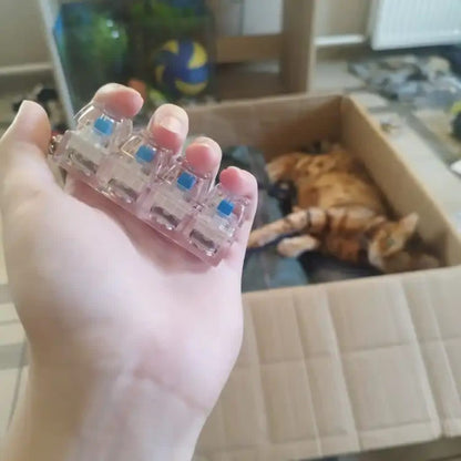 Switchy™ Mechanical Keyboard fidget Keychain